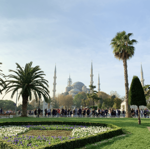 Blue Mosque with palm trees